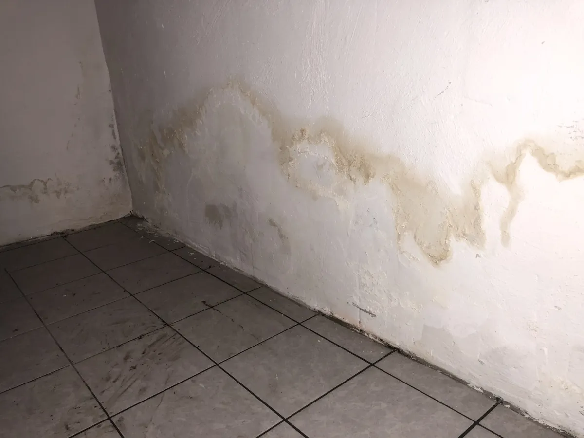 fukt i källaren